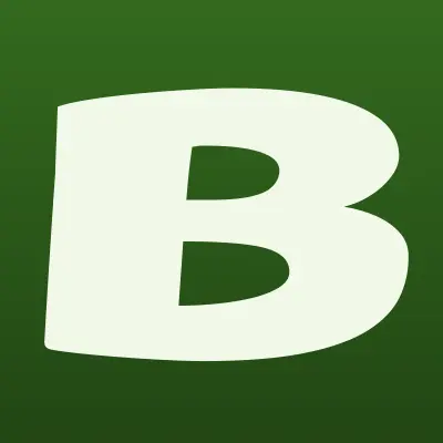 БелЭлектрика, лого-визитка
