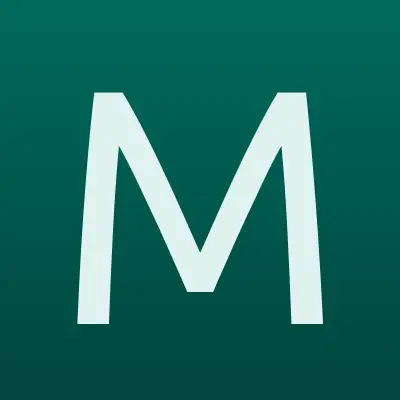 Магазин воздушных шаров, лого-визитка